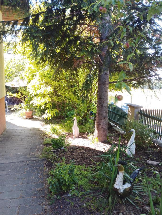 B&B Family Basement Apartment, Breakfast, Free Parking, 5Km From Tulln Chorherrn 외부 사진