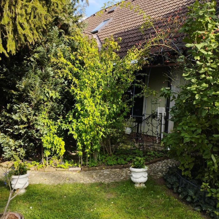 B&B Family Basement Apartment, Breakfast, Free Parking, 5Km From Tulln Chorherrn 외부 사진