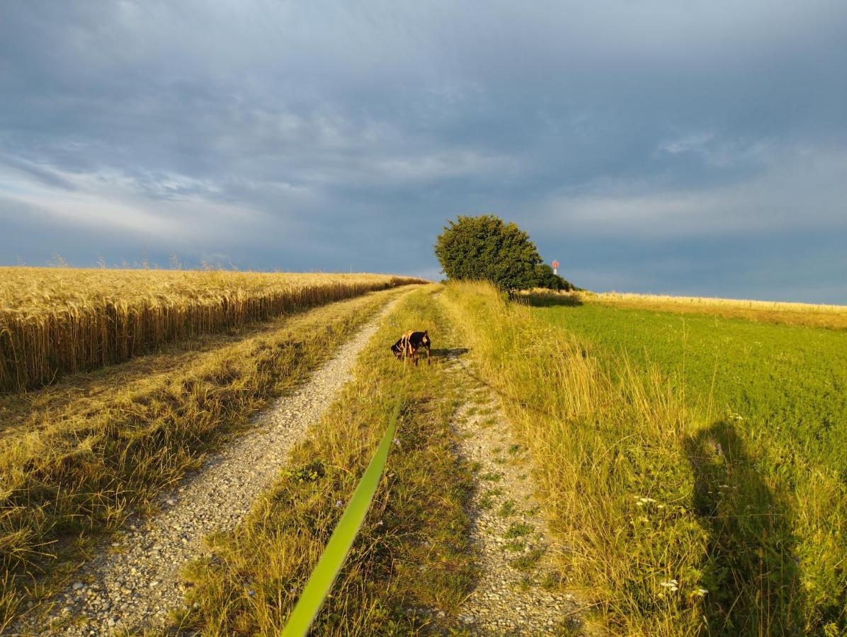 B&B Family Basement Apartment, Breakfast, Free Parking, 5Km From Tulln Chorherrn 외부 사진